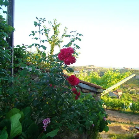Dom wakacyjny 3 Bedrooms House With Garden And Wifi At Baiao 5 Km Away From The Beach *