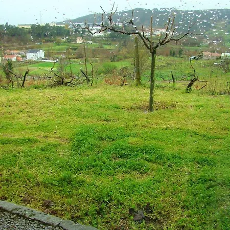 3 Bedrooms House With Garden And Wifi At Baiao 5 Km Away From The Beach 別荘 *